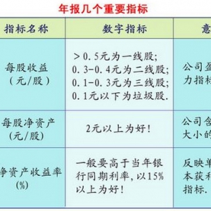 年报解读：几个主要指标