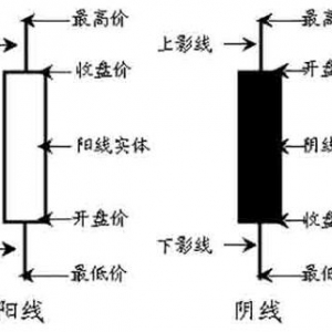 【K线的基本概念】阴阳线