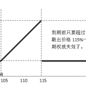 鲨鱼鳍期权的应用