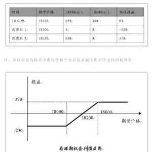 【期权策略】12大期权交易策略详解（01）