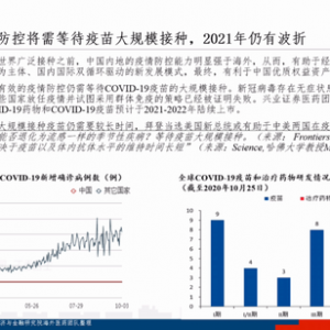 张忆东：新经济龙头短期快跌为明年蓄势