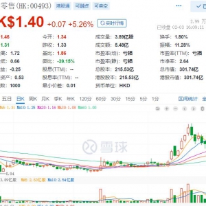 “真快乐”能让国美快乐起来吗？