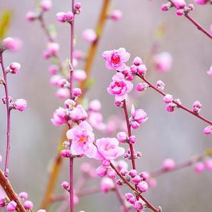 经济日报：有必要进一步推动冰雪运动向全国普及 向四季拓展 ...