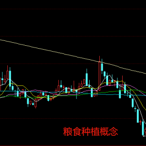 乌克兰宣布暂时禁止出口所有类型的化肥