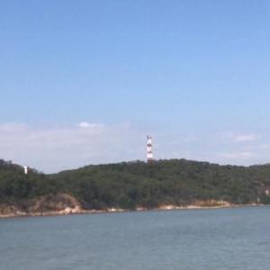 中美政策分道扬镳，A股市场等待政策红包