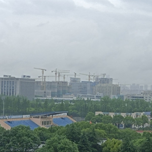 任泽平：从今天起，继续乐观
