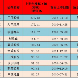 上半年十大牛股出炉：正丹股份涨逾3倍 多只低空经济概念股上榜 ...